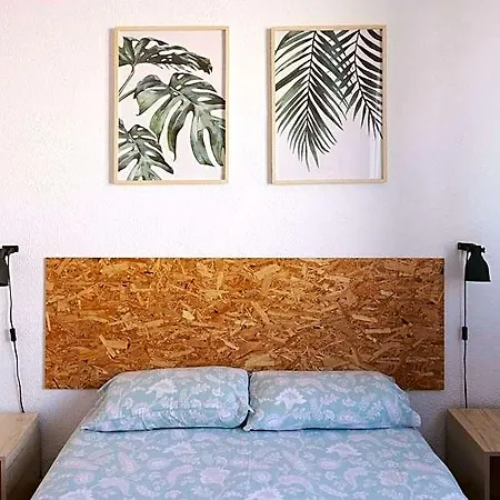Green Hostel Oviedo *