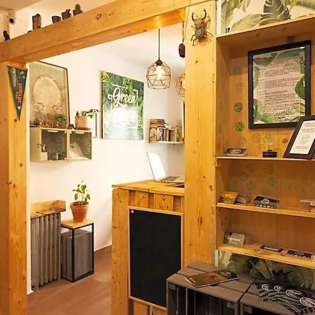 Green Hostel Oviedo *
